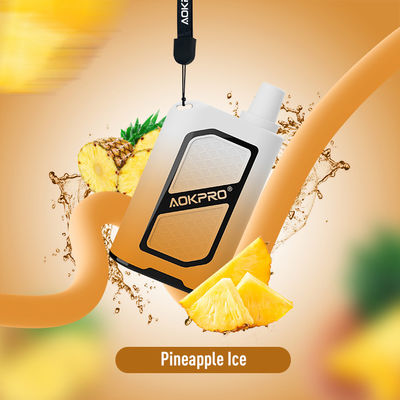 souffle rechargeable d'ananas du PC 4000 de 600mAh TYPE-C de barre qui respecte l'environnement de souffle