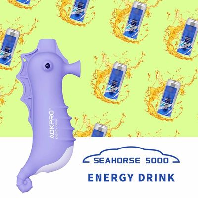 5000 bouffées jetables rechargeables Blueberry Vape Pods Pen 12ml